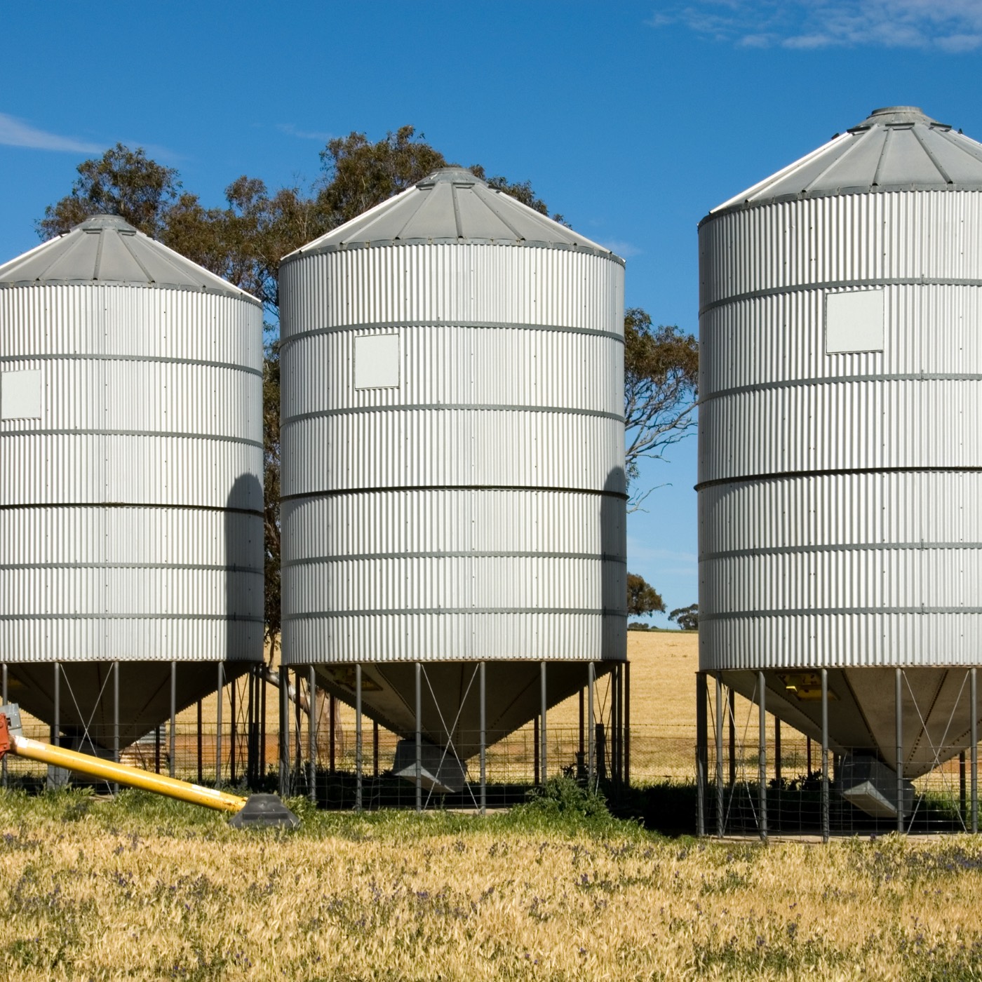 Large metal silos in an agricultural industrial setting